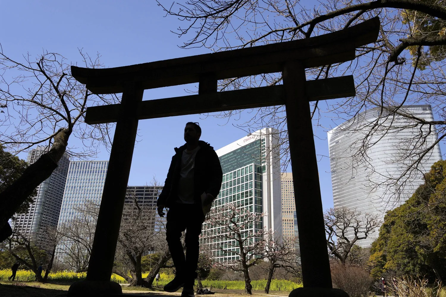 رجل يسير في حديقة وسط العاصمة اليابانية طوكيو (أ.ب)