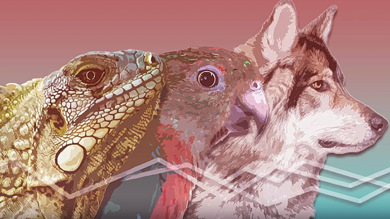 بعض الأنواع الحيوانية طورت دفاعات بيولوجية طبيعية ضد السرطان (جامعة ولاية أريزونا)