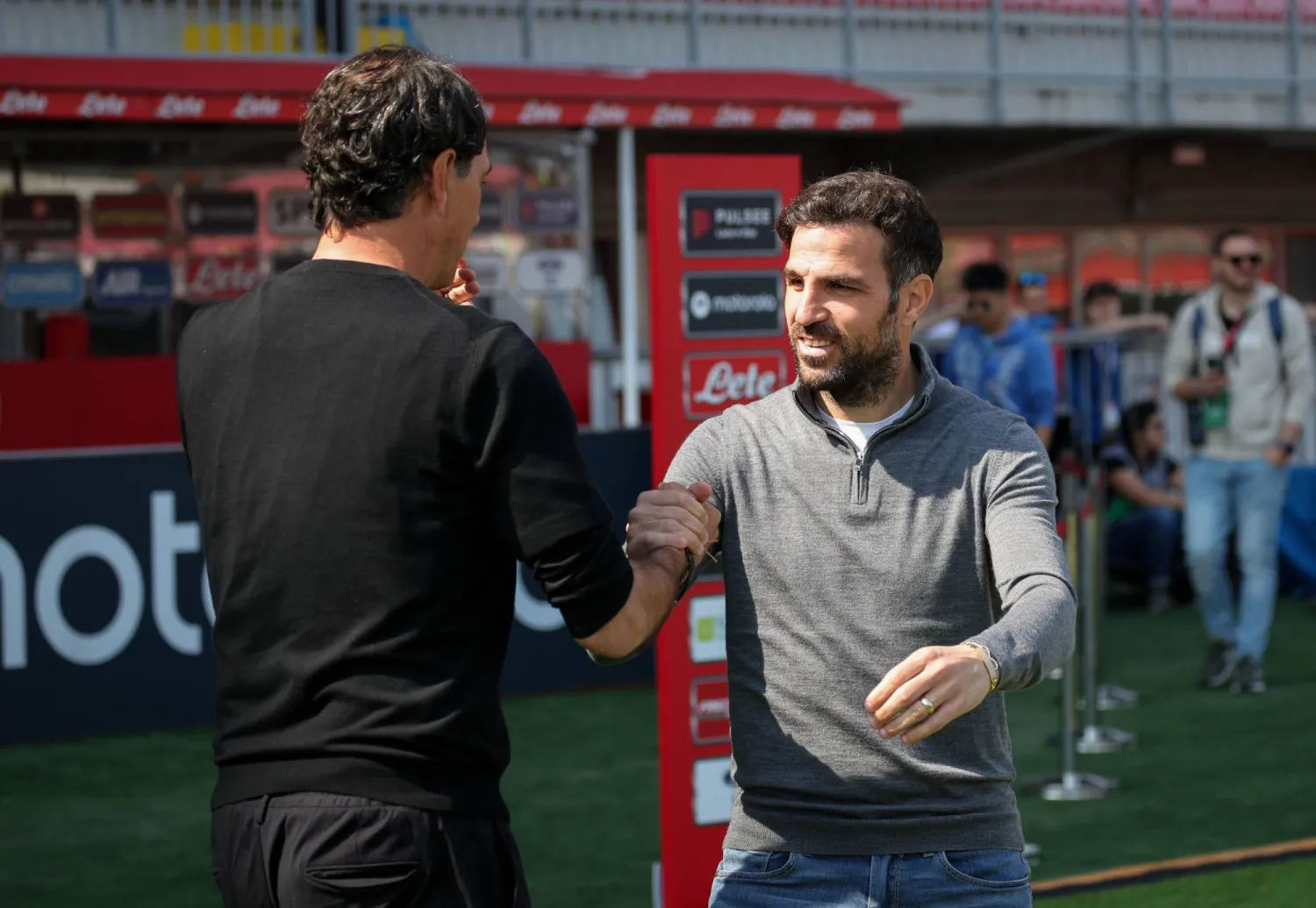 سيسك فابريغاس (إ.ب.أ)