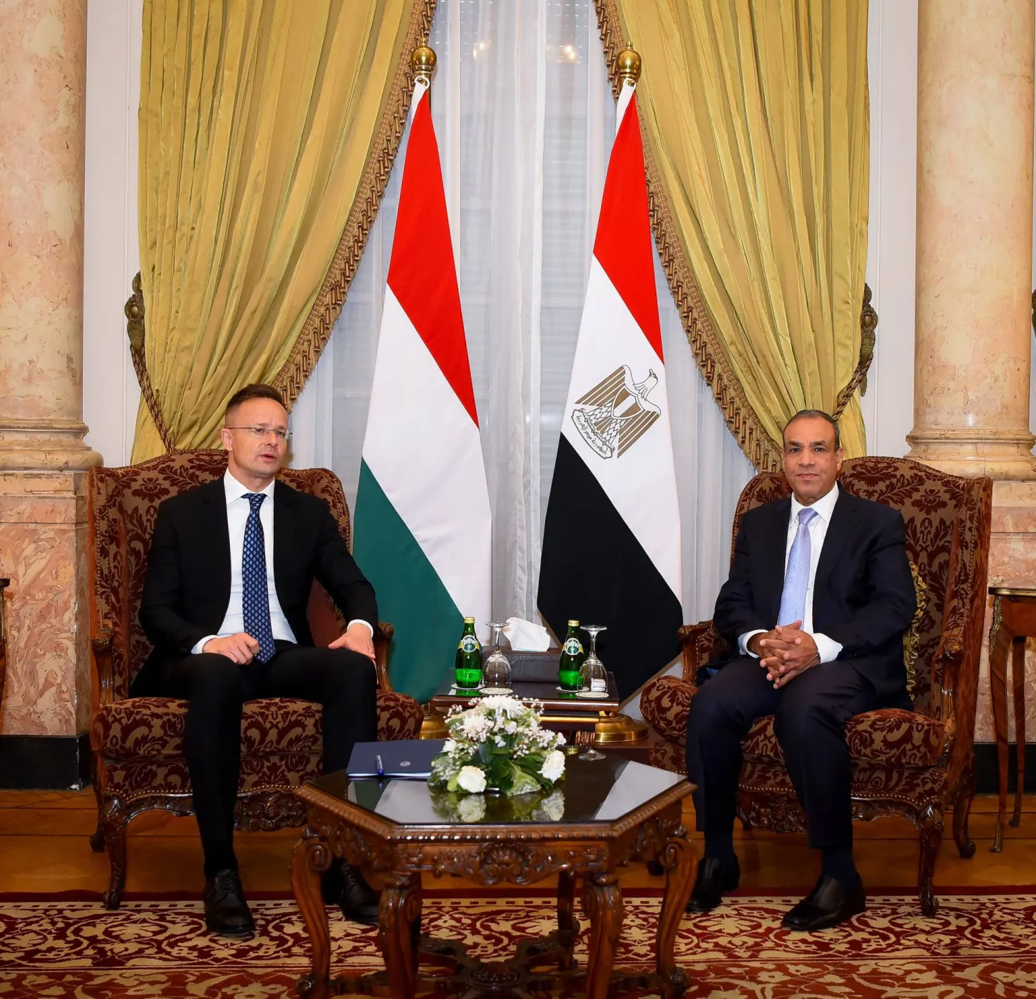 محادثات وزير الخارجية المصري مع نظيره المجري الخميس في القاهرة قبل توجهه إلى تركيا (الخارجية المصرية)