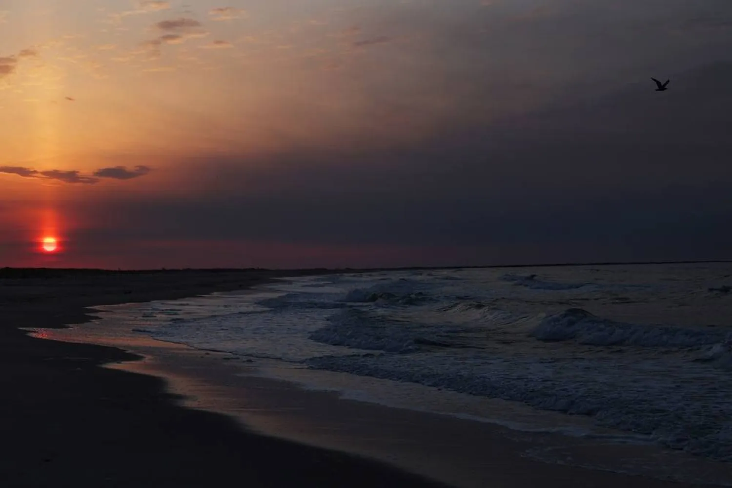  A bird flies in silhouette as the sun rises over the Atlantic ocean in Lido Beach, New York, US, April 10, 2025. (Reuters)