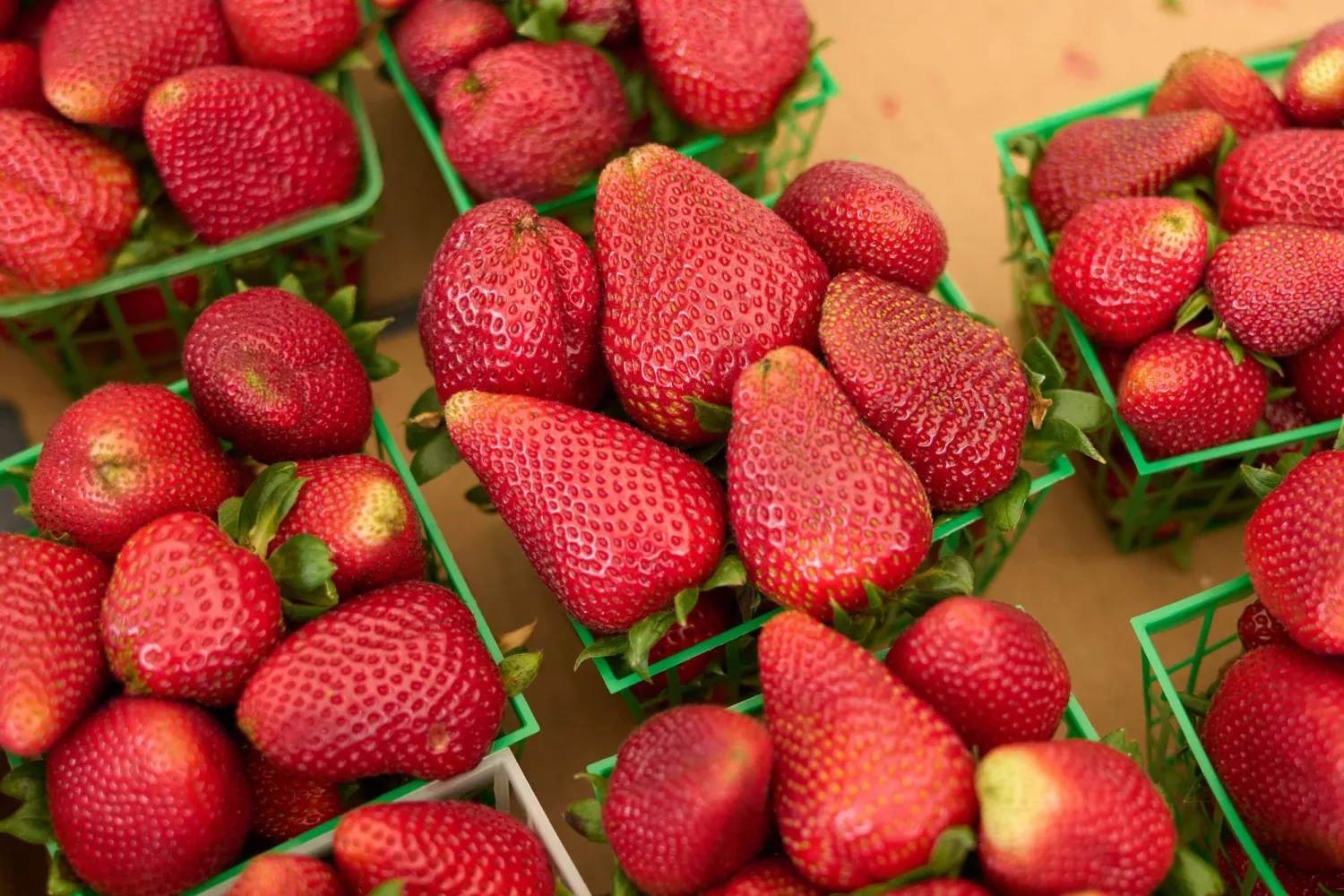 حبات من الفراولة في كاليفورنيا (إ.ب.أ)