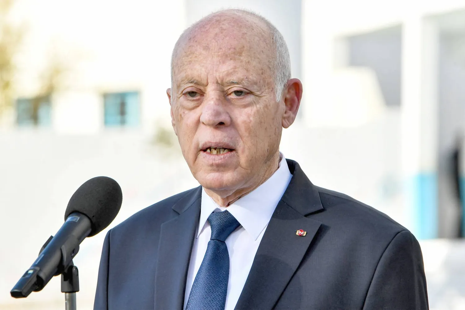 الرئيس قيس سعيد (أ.ف.ب) 