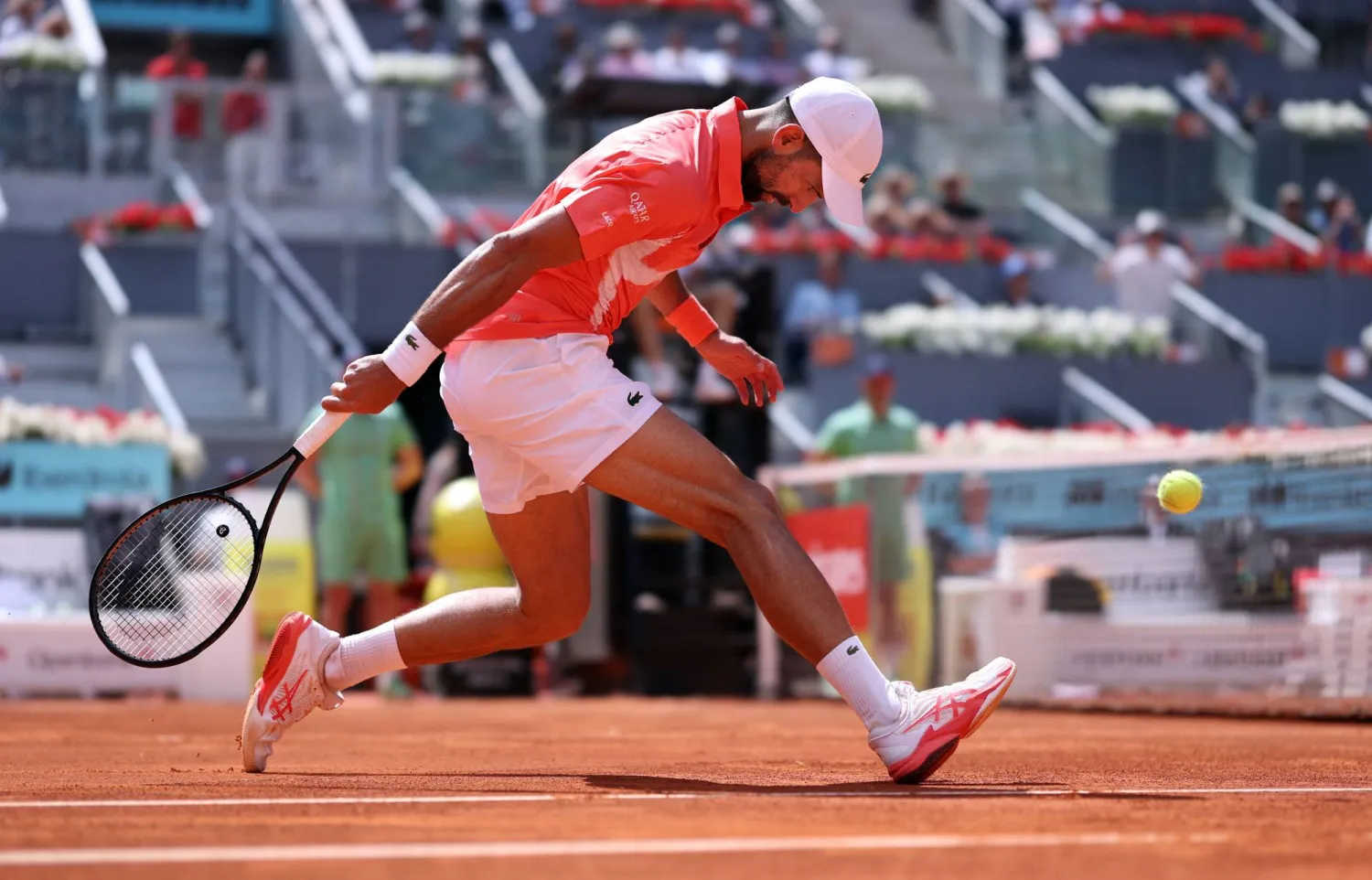 نوفاك ديوكوفيتش (أ.ف.ب)