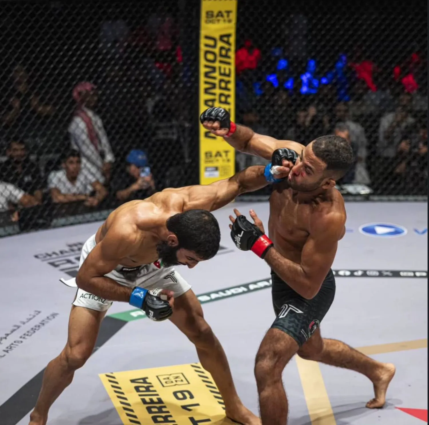 الحدث الذي يُعدّ علامة فارقة في مشهد فنون القتال المختلطة (الشرق الأوسط)