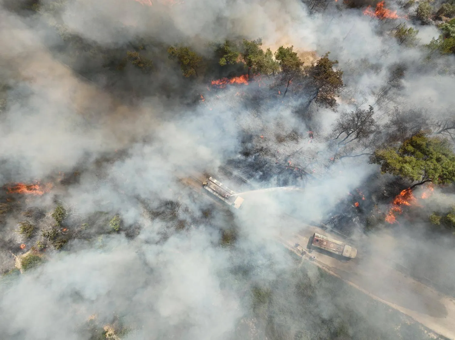 صورة من الأعلى تُبين مدى انتشار الحرائق في جبل التركمان بريف اللاذقية (الدفاع المدني السوري)