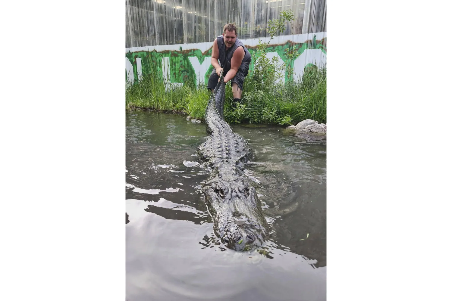 وداعاً سارق الأضواء (أ.ب)