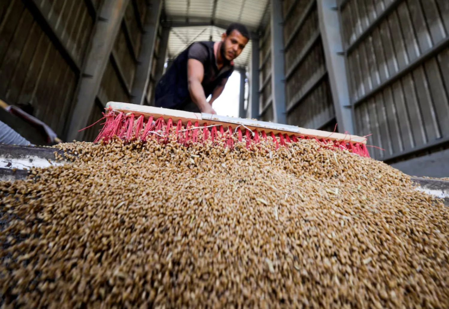 A worker collects wheat at the Benha grain silos, in Al Qalyubia Governorate, Egypt, May 19, 2022. REUTERS/Mohamed Abd El Ghany 