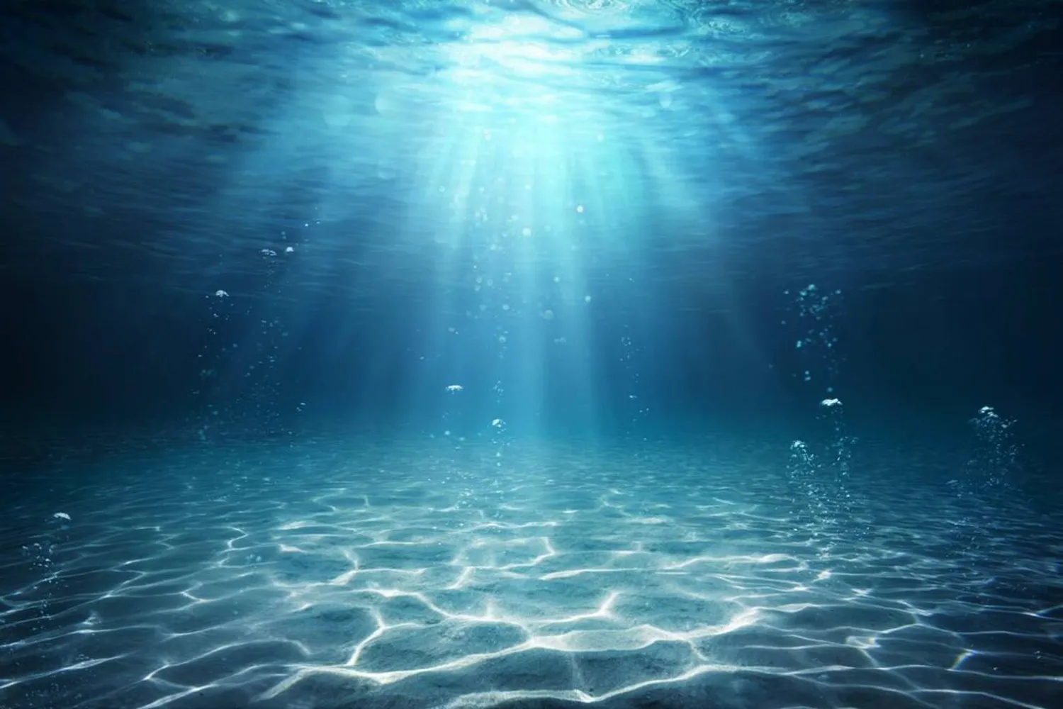 الحفريات اكتُشفت في قاع المحيط (غيتي)