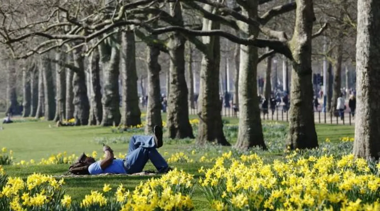 التعرض لأشعة الشمس يعزز جهاز المناعة (رويترز)