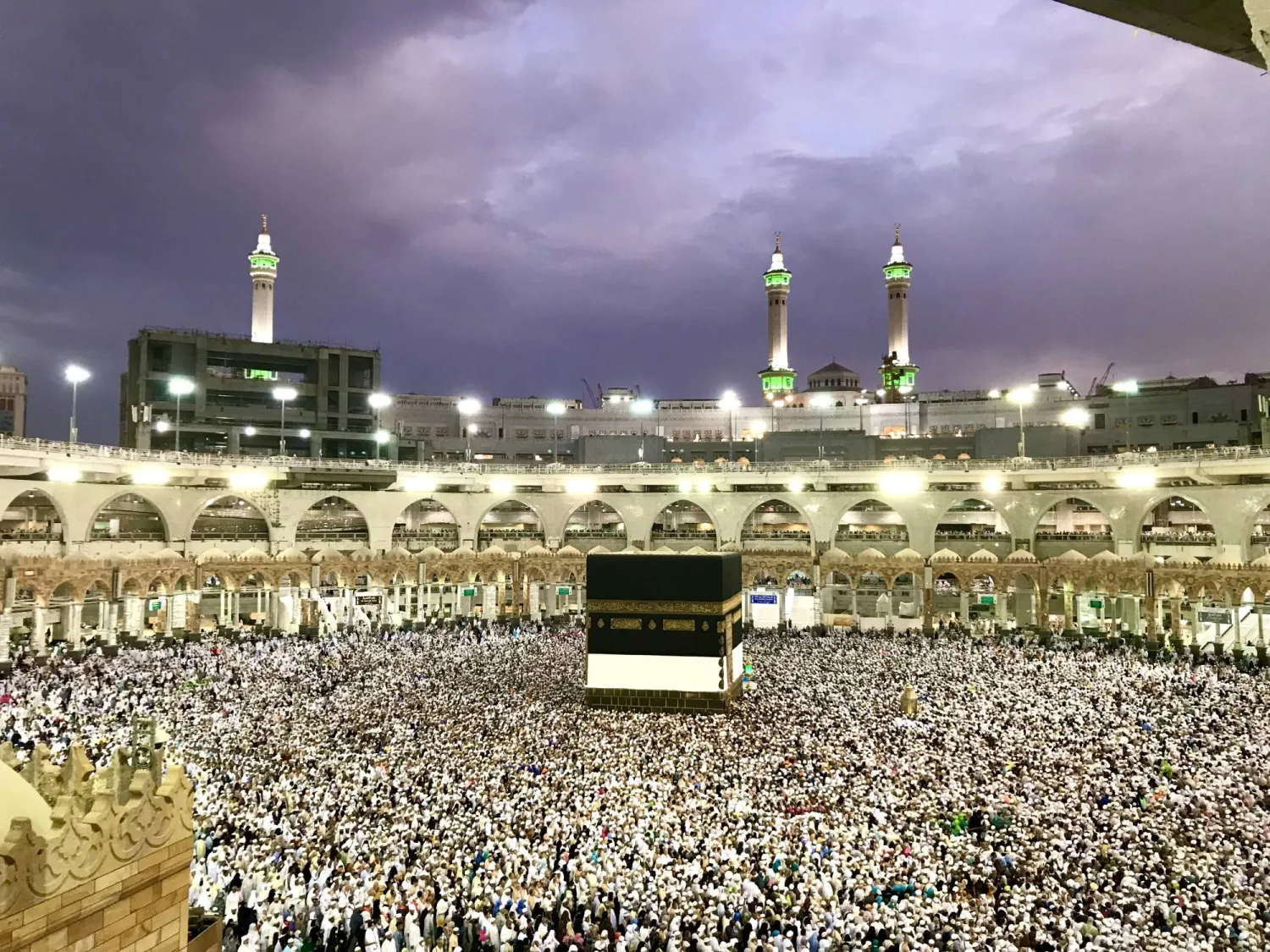 دليلك الصحي للوقاية والسلامة... لحج آمن