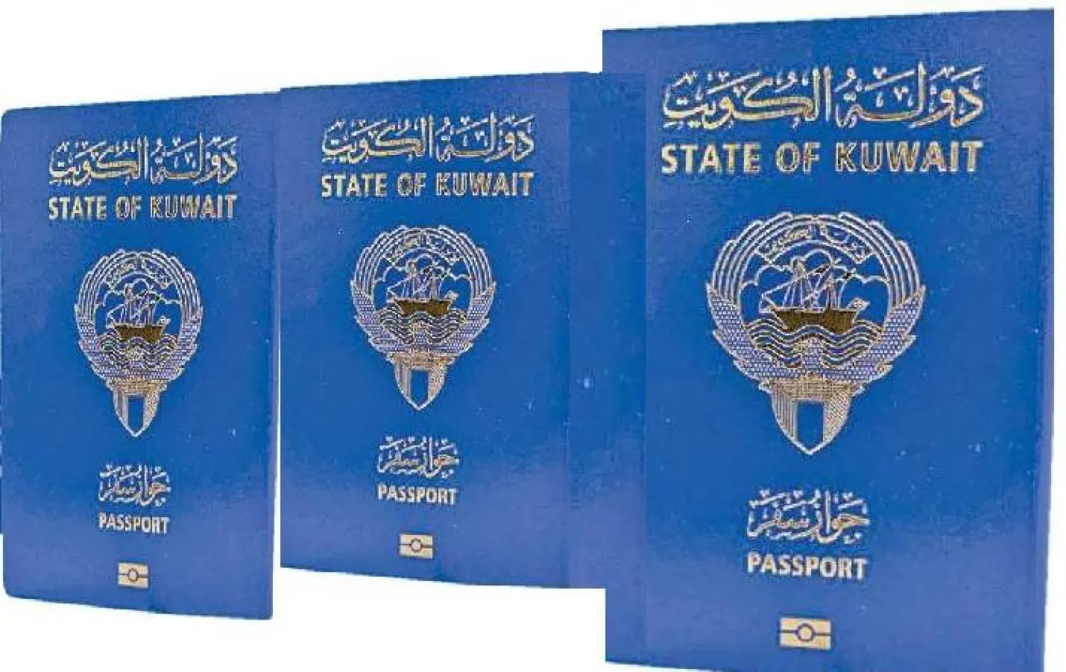 حددت وزارة الداخلية الكويتية مهلة سنة لآلاف النساء المسحوبة جنسياتهن لتعديل أوضاعهن لضمان الاستفادة من المزايا التي توفرها الدولة (الشرق الأوسط)