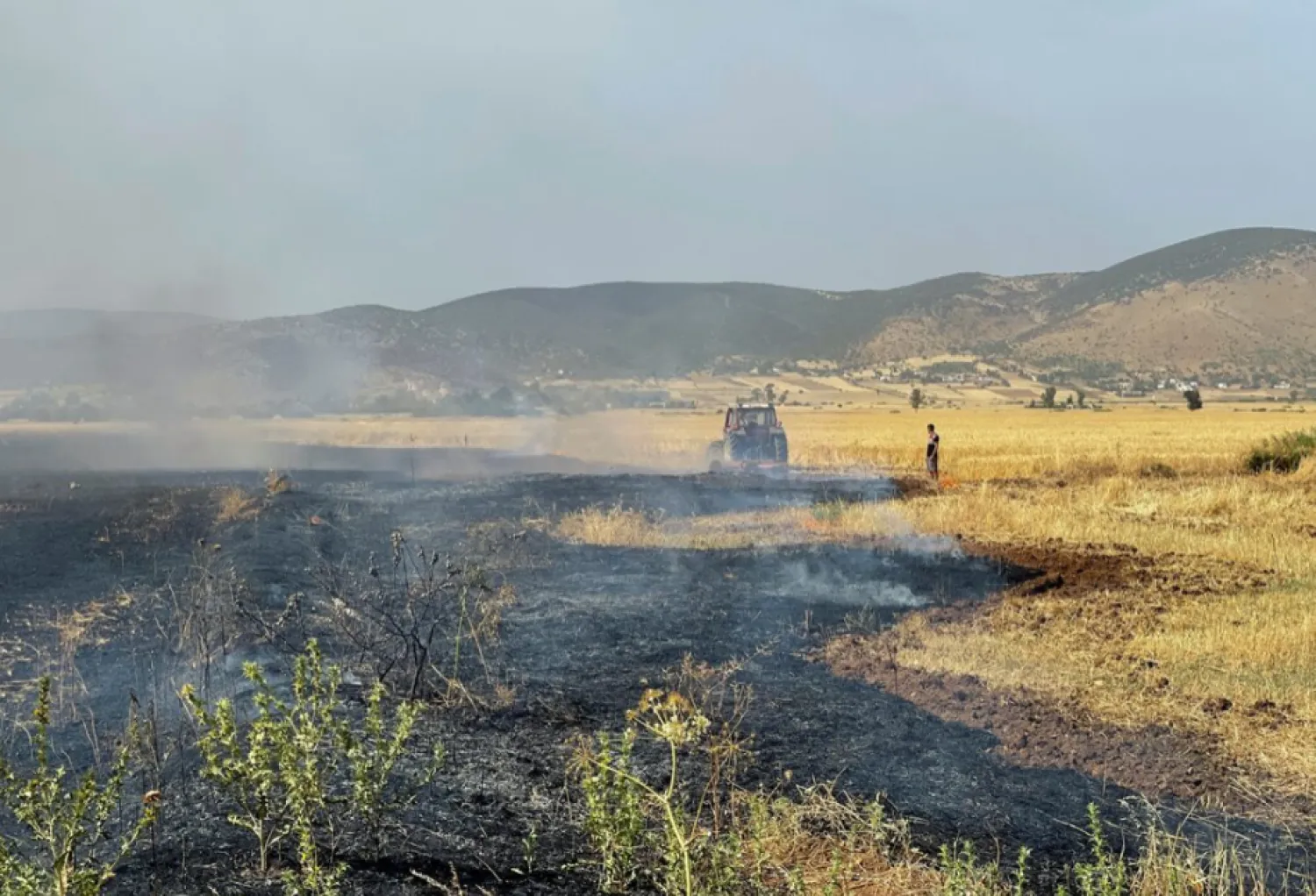 A farmer stands in a wheat field, burned by fire, in Jendouba, Tunisia June 2, 2022. Picture taken June 2, 2022. REUTERS/Jihed Abidellaoui