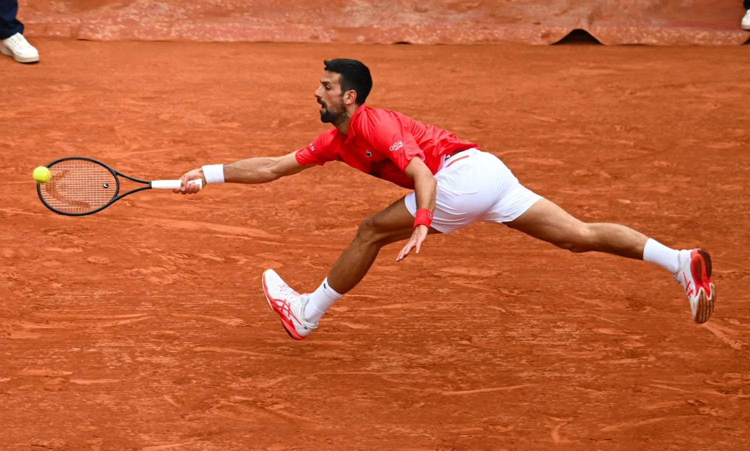 نوفاك ديوكوفيتش (د.ب.أ)