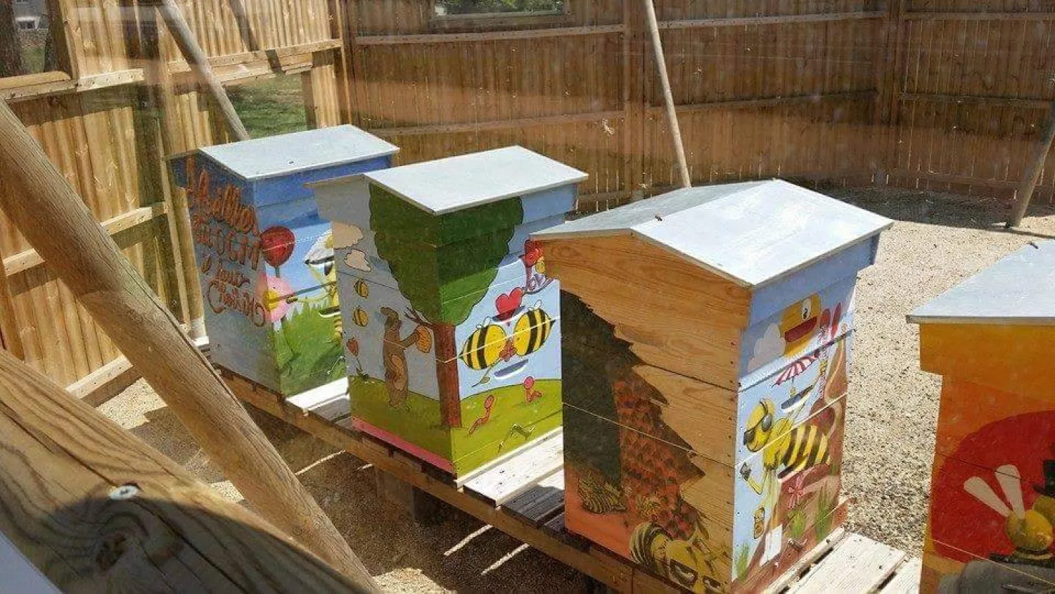 مجلس الوزراء المصري أكد أن العسل المتداول في الأسواق يخضع لرقابة صارمة (وزارة الزراعة)