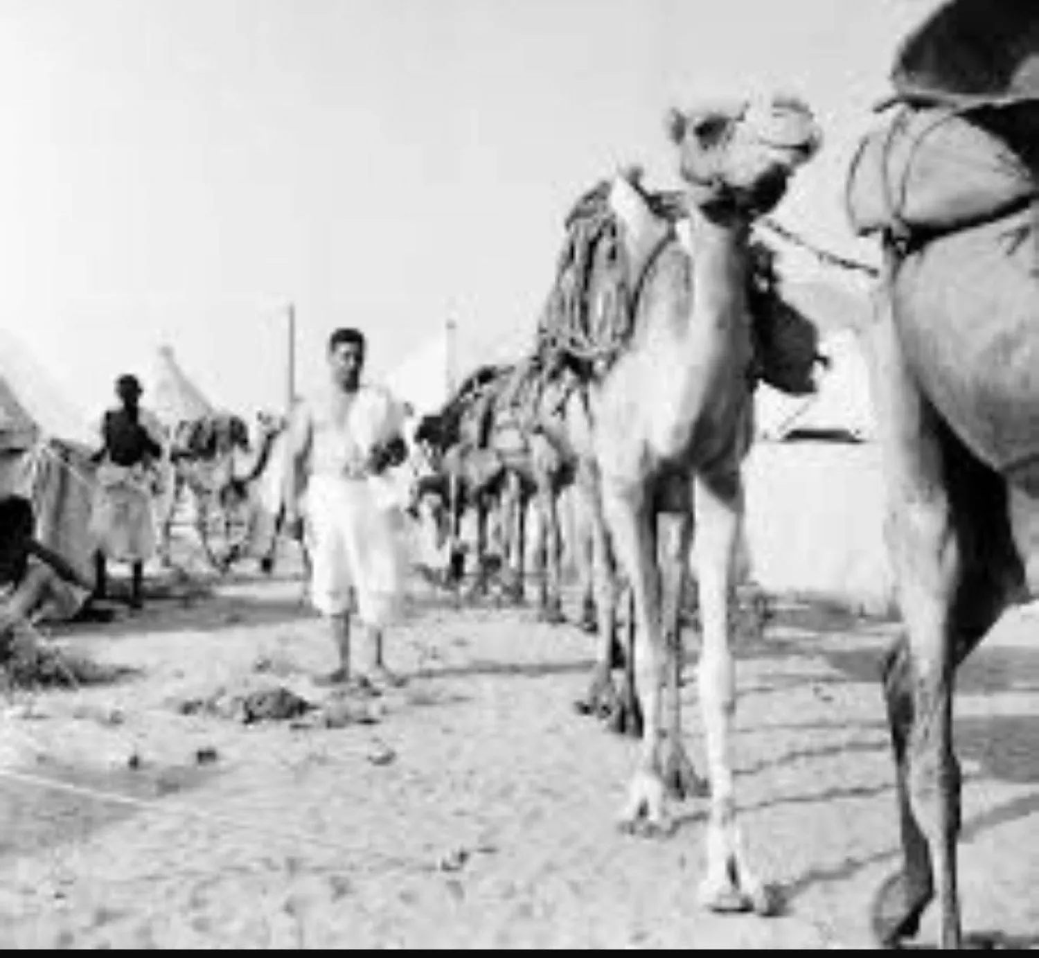 الحجاج المشاة في الدولة السعودية… تاريخ من الرعاية والتنظيم