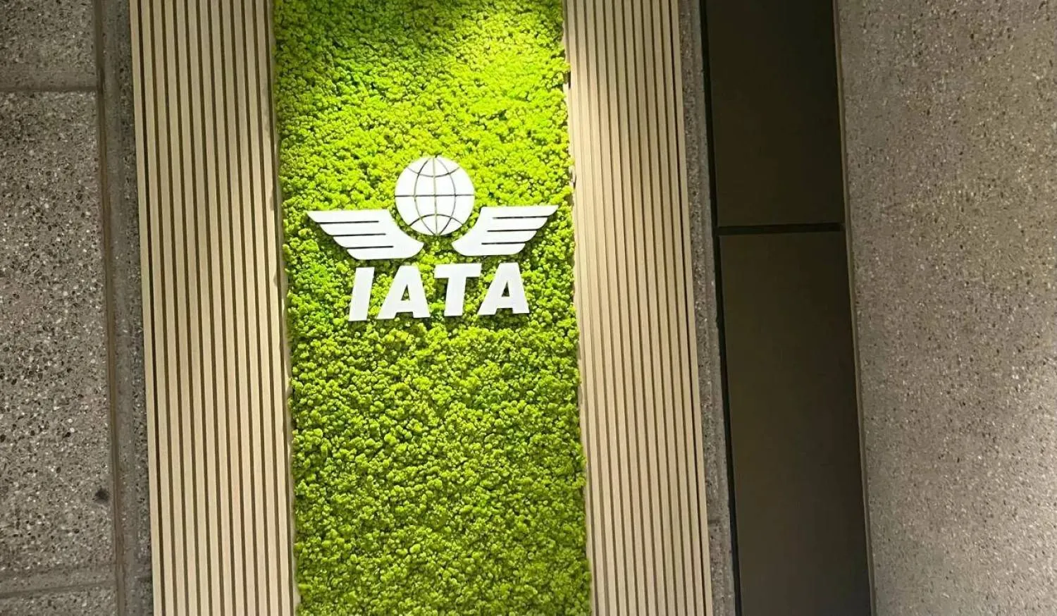 IATA logo (Asharq Al-Awsat) 