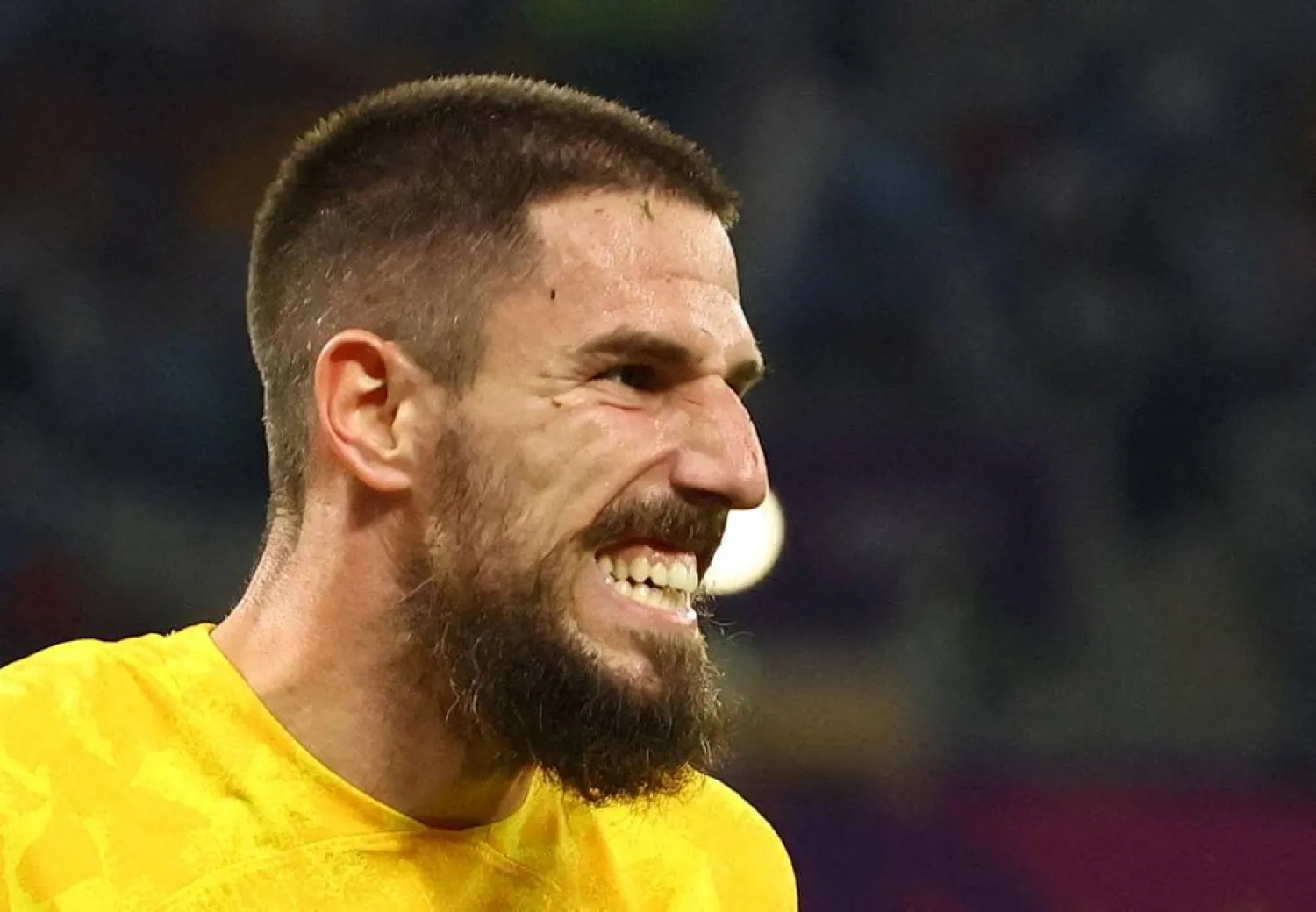 ديجينيك (رويترز)