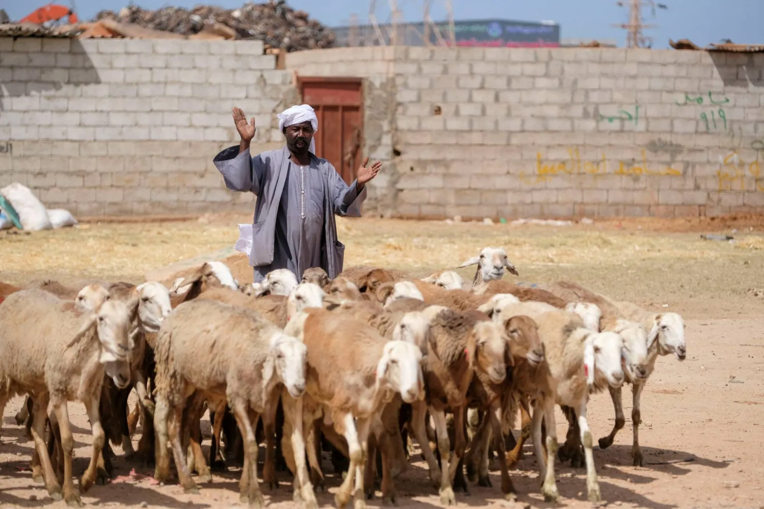 مواطن ليبي يعرض بضاعته من الأغنام التي اشتكى جل الليبيين من غلاء أسعارها (رويترز)