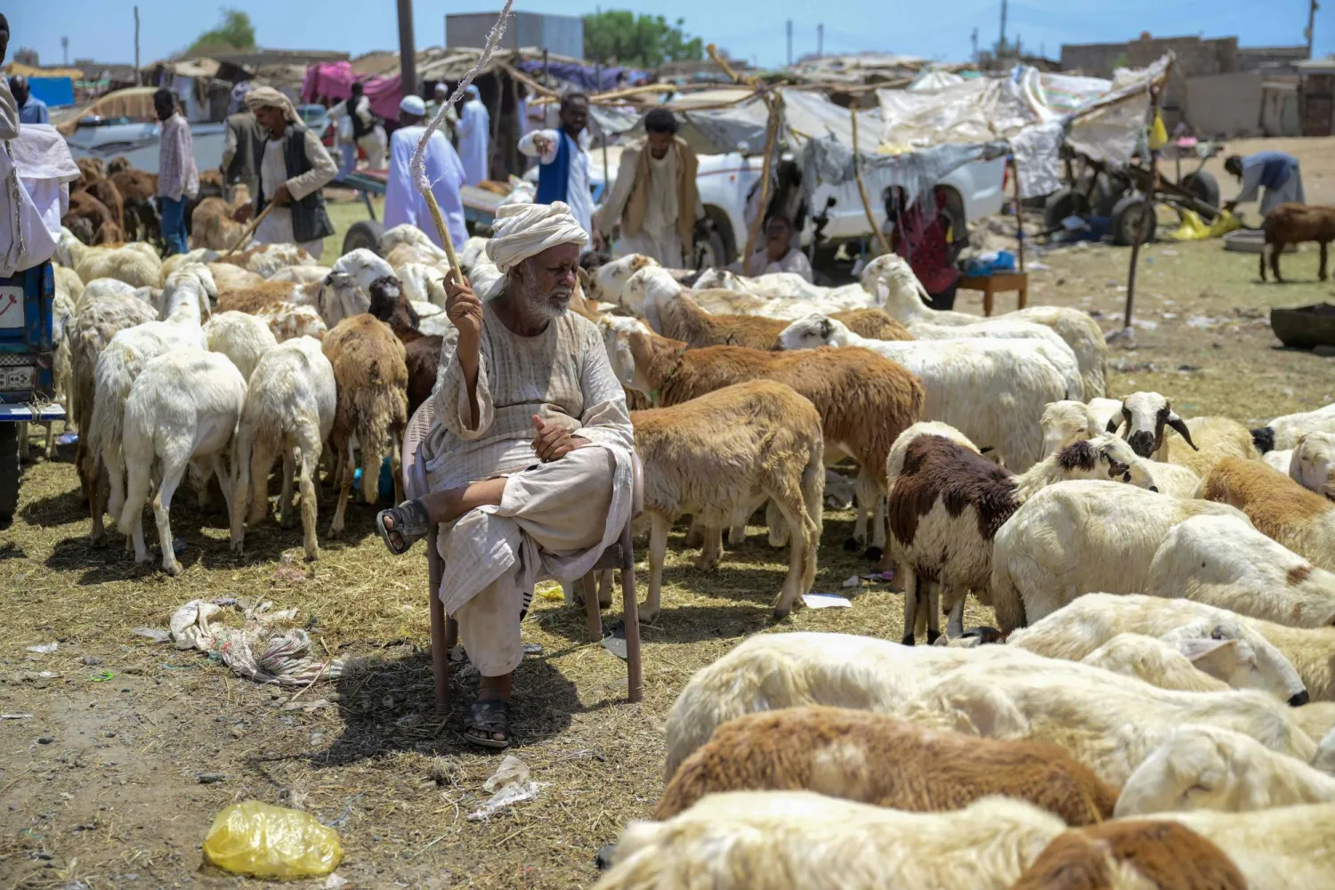 تاجر مواشٍ في بورتسودان يجلس إلى جانب خرافه بانتظار المضحين (أ.ف.ب)