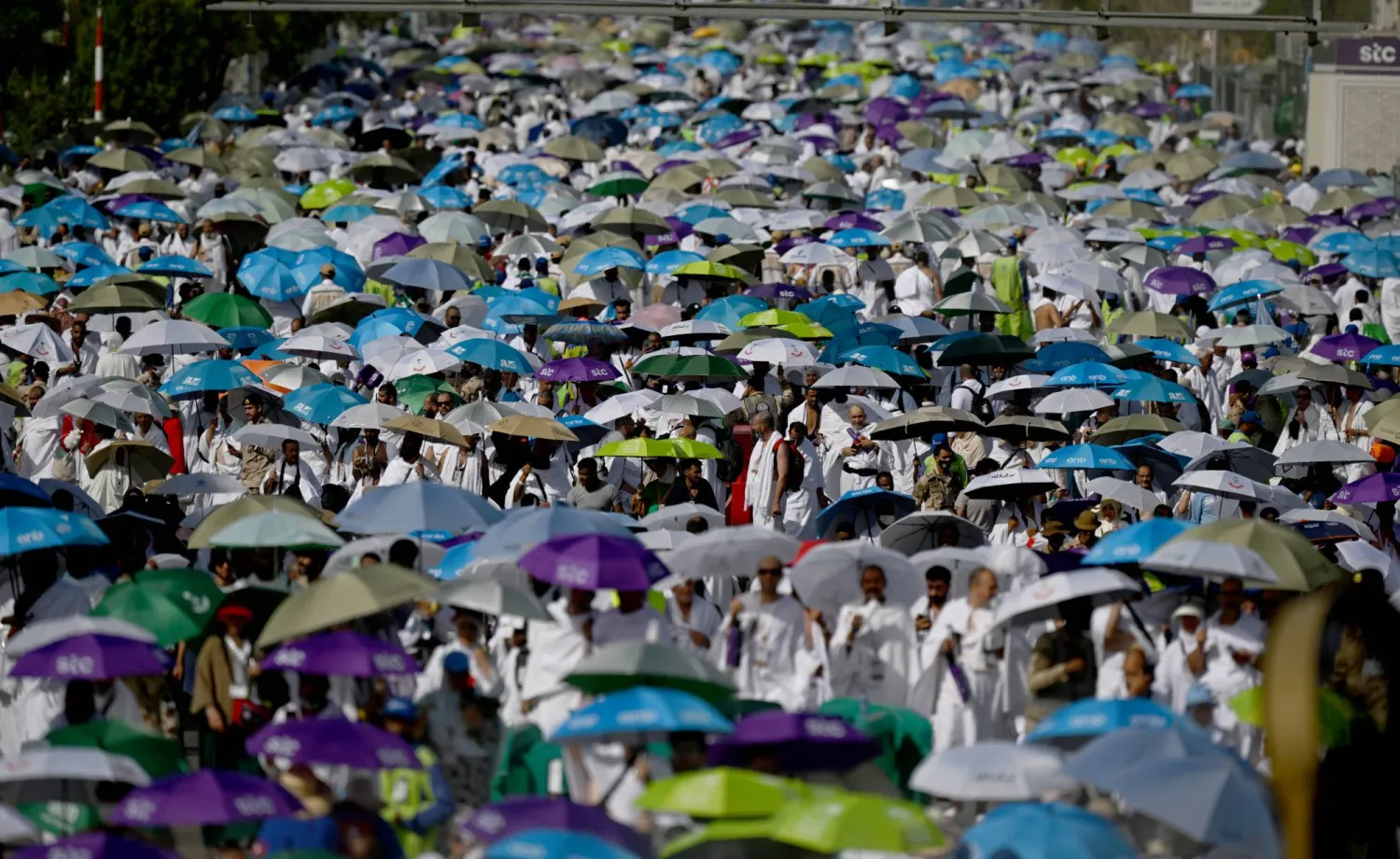 تصوير: بشير صالح