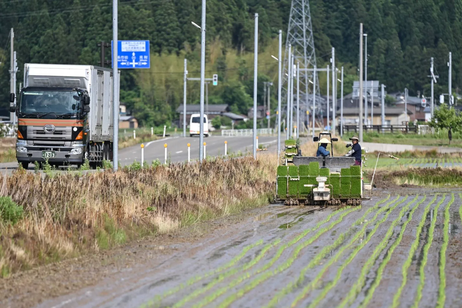مزارعون يابانيون يقومون بزراعة الأرز في مدينة سانجو شمال البلاد (أ.ف.ب)