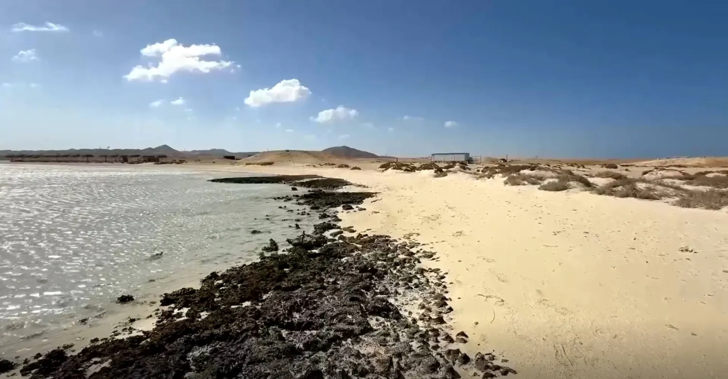 جزء من ساحل البحر الأحمر غير المؤهل للسياحة (رويترز)