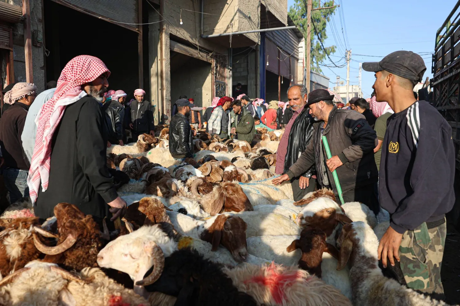 سوق المواشي في دمشق 3 يونيو استعداداً لعيد الأضحى المبارك (إ.ب.أ)