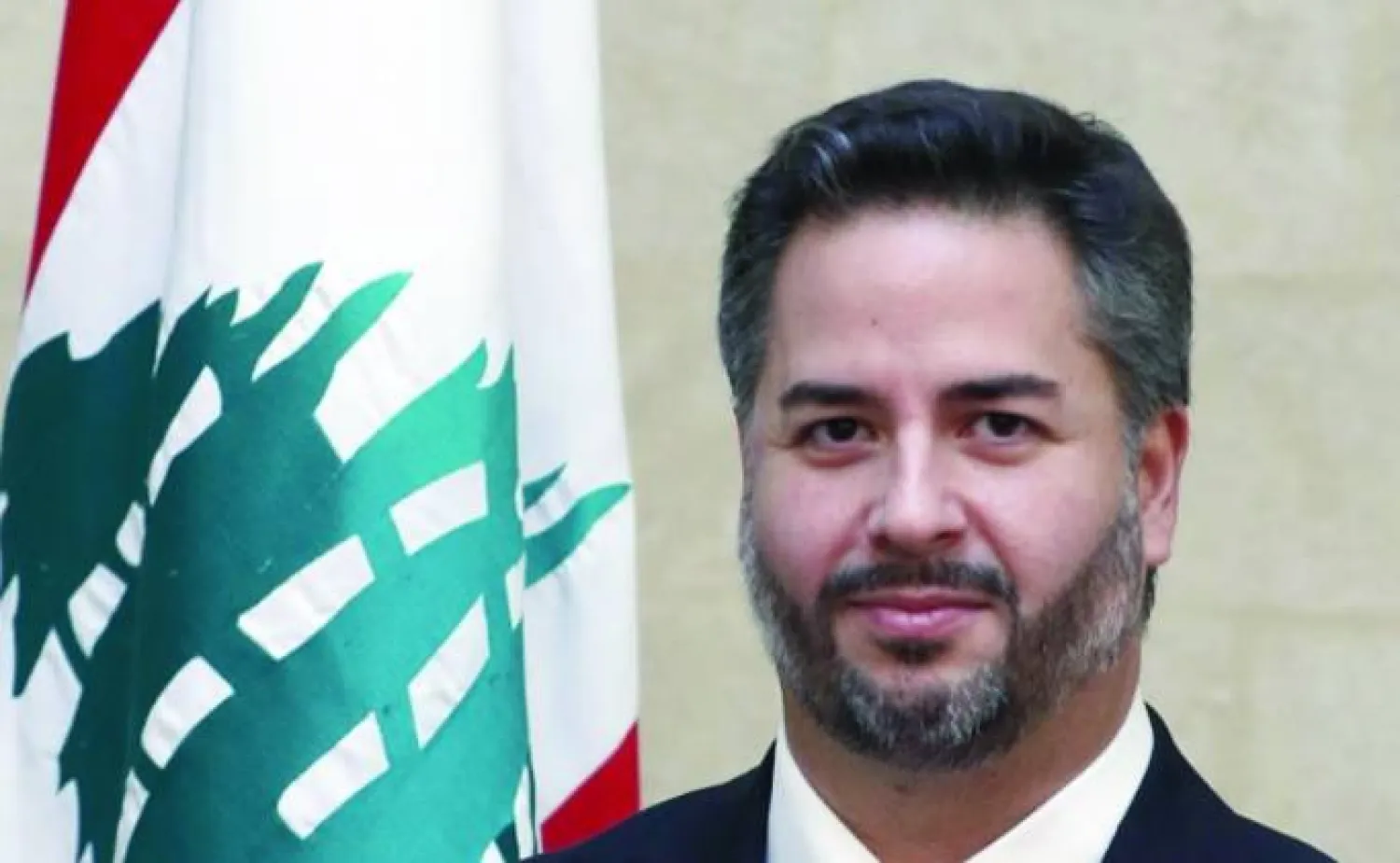 
وزير الاقتصاد السابق أمين سلام (الوكالة الوطنية)