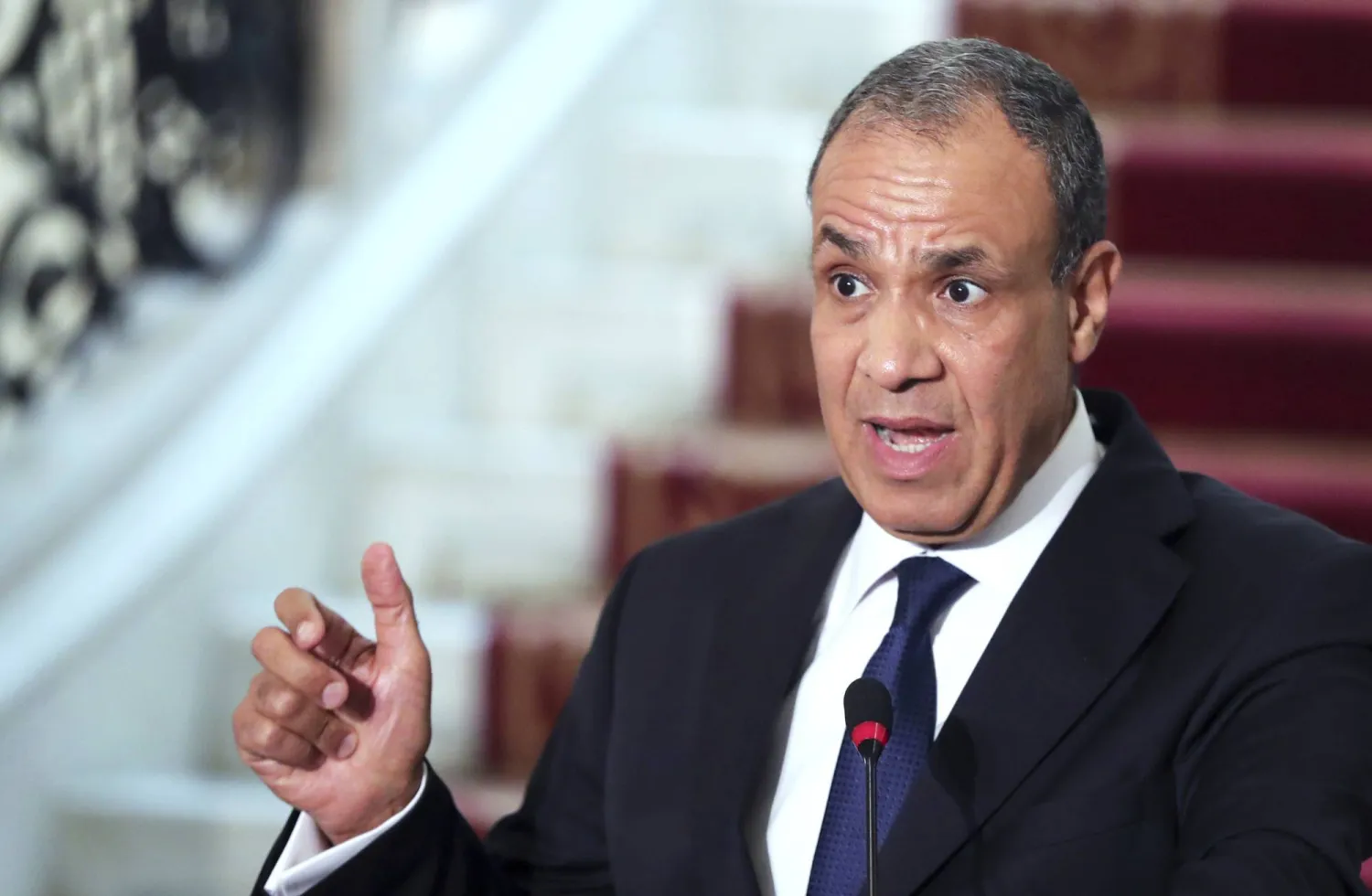 وزير الخارجية المصري بدر عبد العاطي (أ.ب)