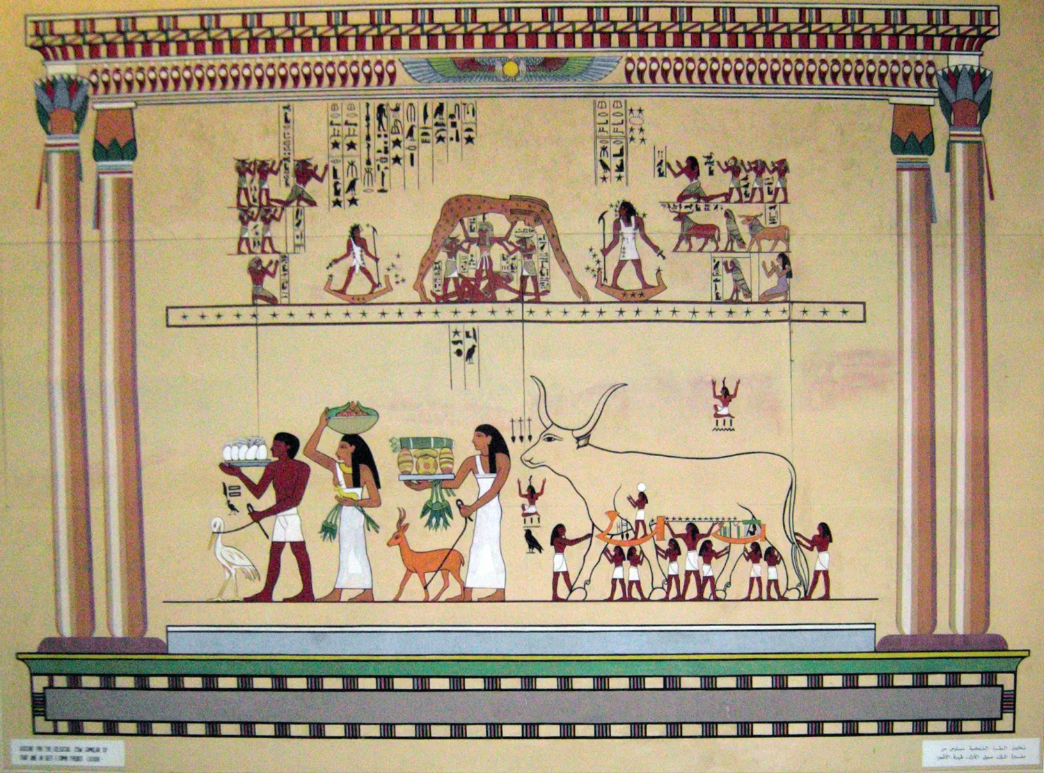 لوحة البقرة الفلكية بالمتحف الزراعي المصري (المتحف الزراعي المصري)