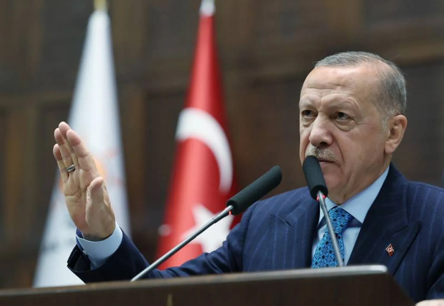 الرئيس التركي رجب طيب إردوغان (الرئاسة التركية)