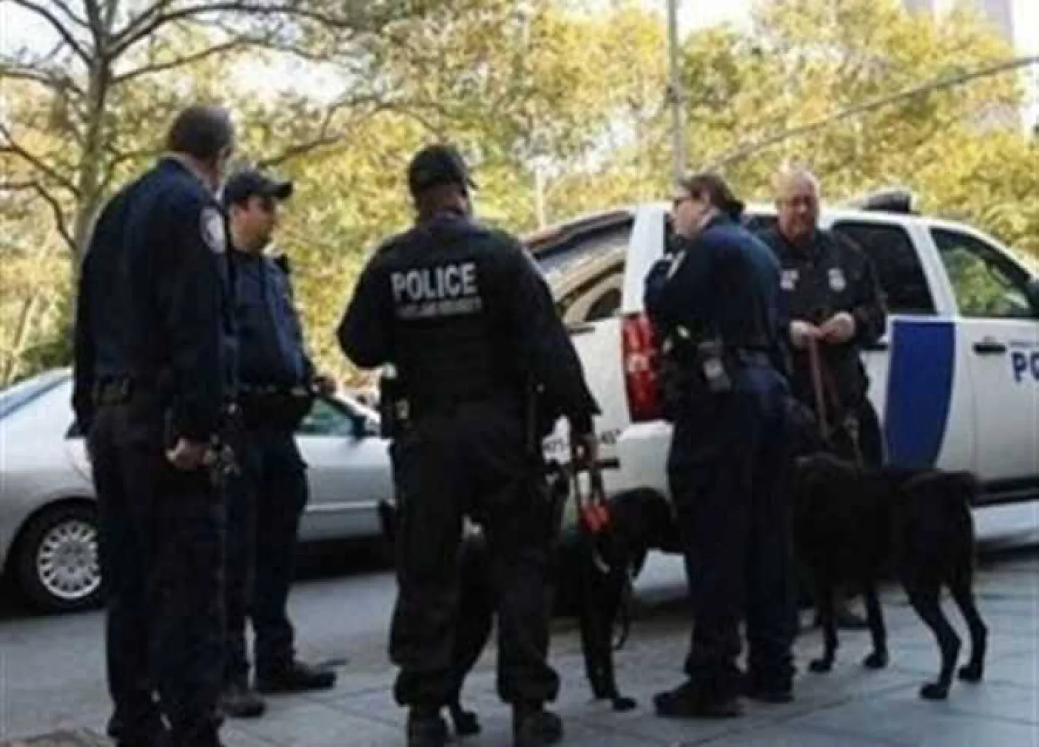 شرطة البرتغال «متداولة»