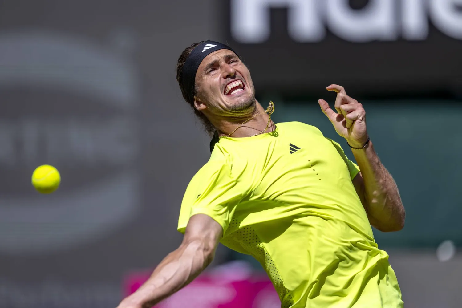 الألماني ألكسندر زفيريف يتألق في هاله (أ.ب)