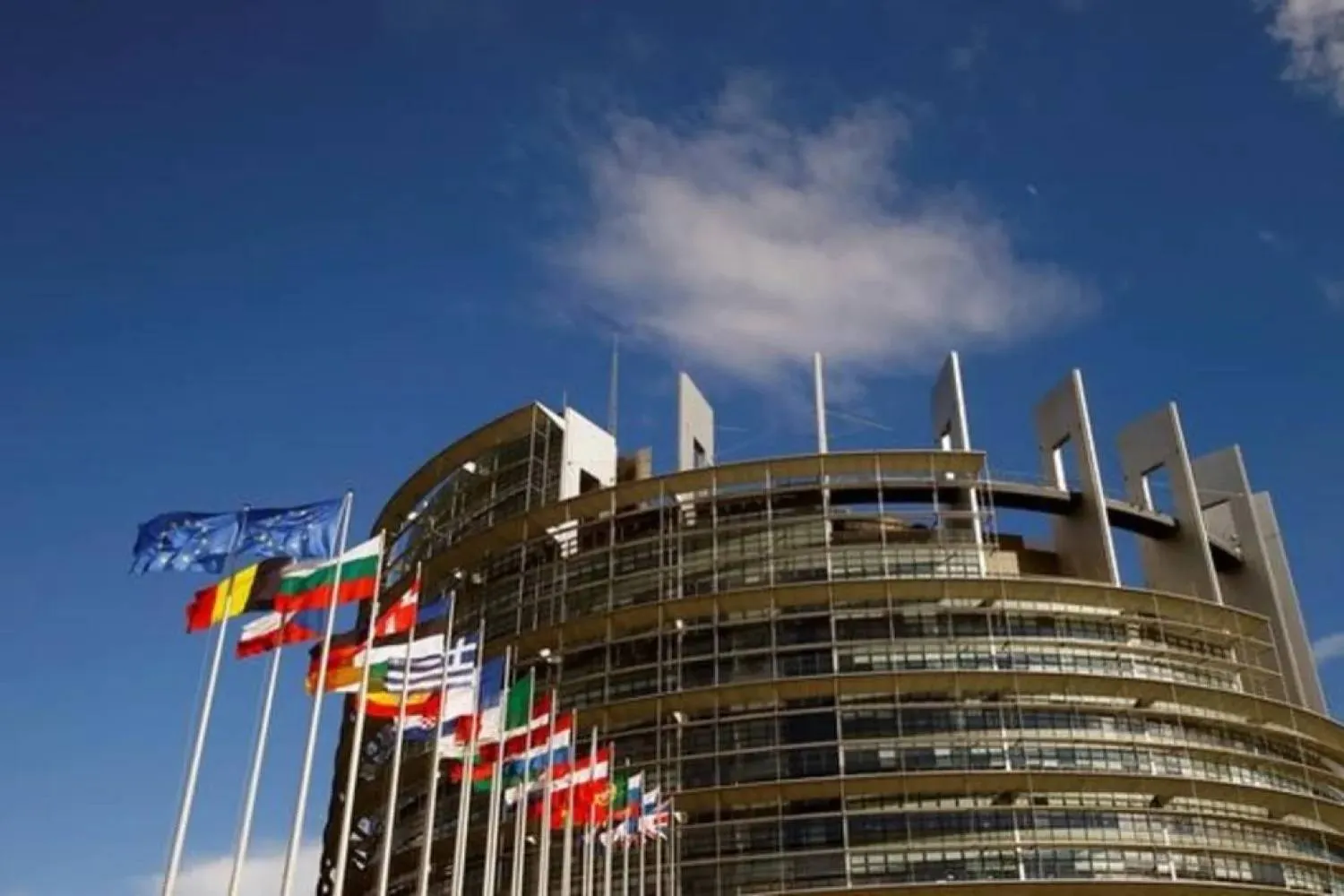 Flags of the European Union and its member states fly in front of the building of the European Parliament in Strasbourg, France June 30, 2017. REUTERS/Arnd Wiegmann
