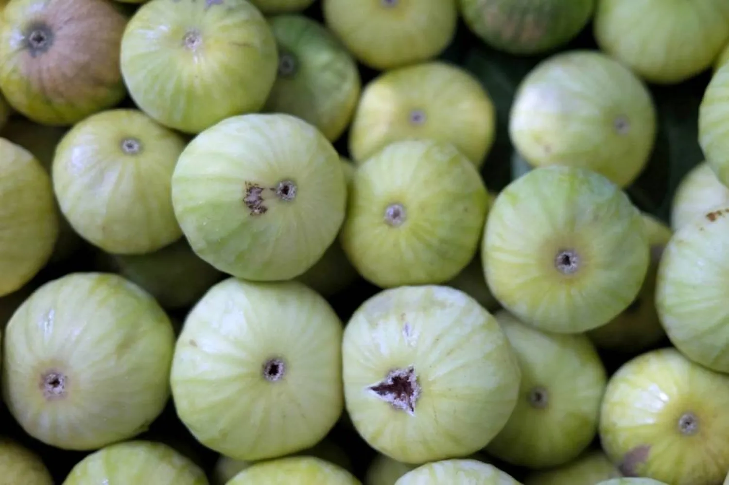 للتين فوائد صحية عديدة (أ.ف.ب)