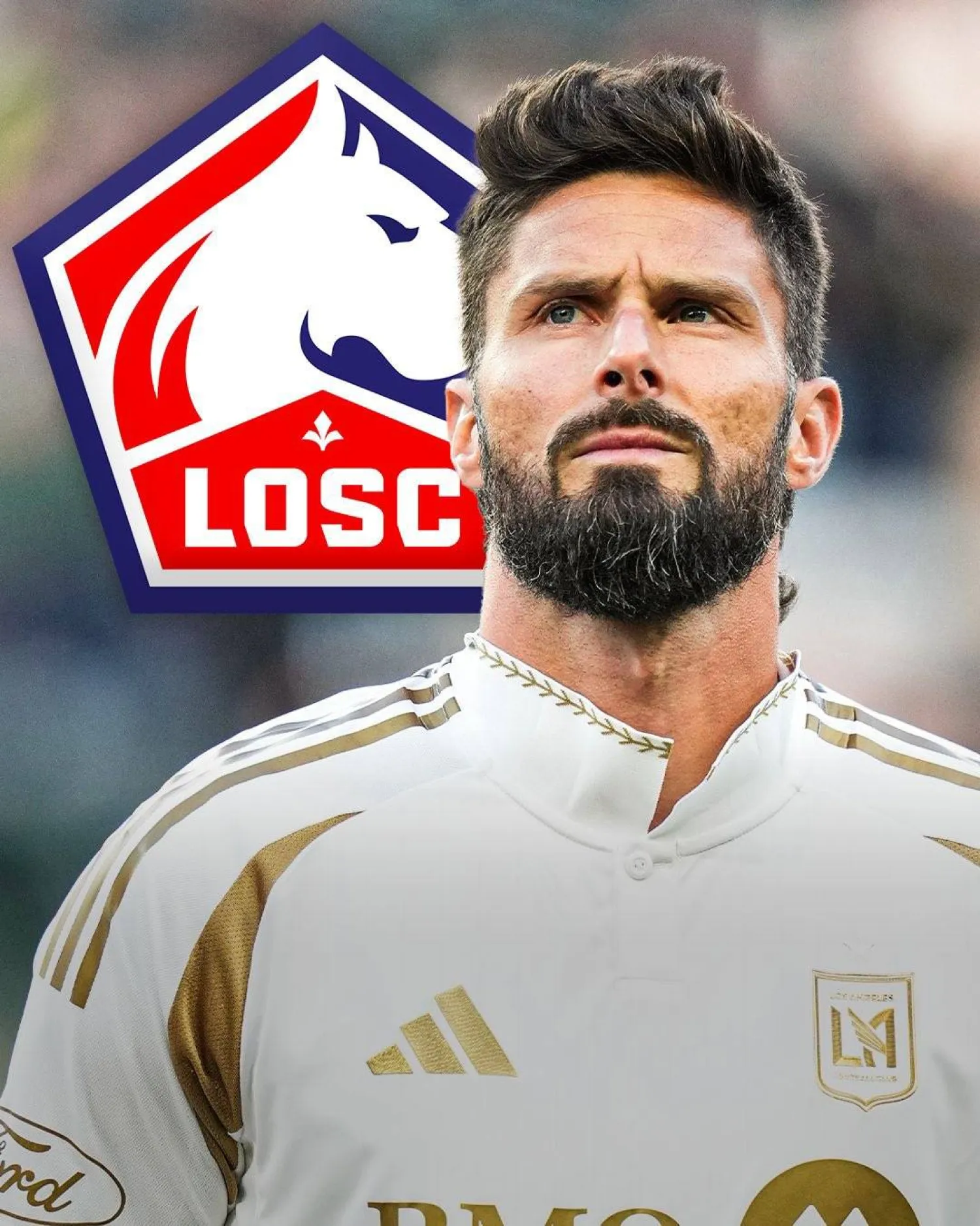 جيرو سيرحل بعد تجربة مخيبة (الشرق الأوسط)