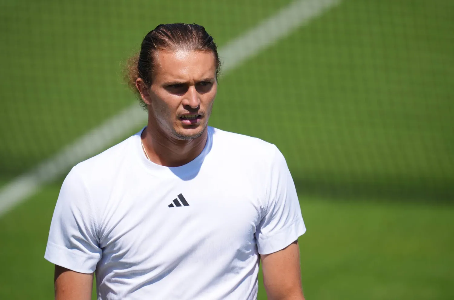 ألكسندر زفيريف (د.ب.أ)