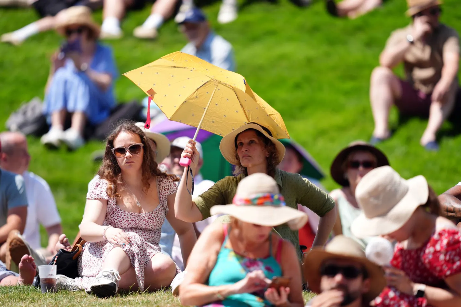 درجة الحرارة القياسية لبطولة ويمبلدون كانت 35.7 درجة مئوية في عام 2015 (د.ب.أ)