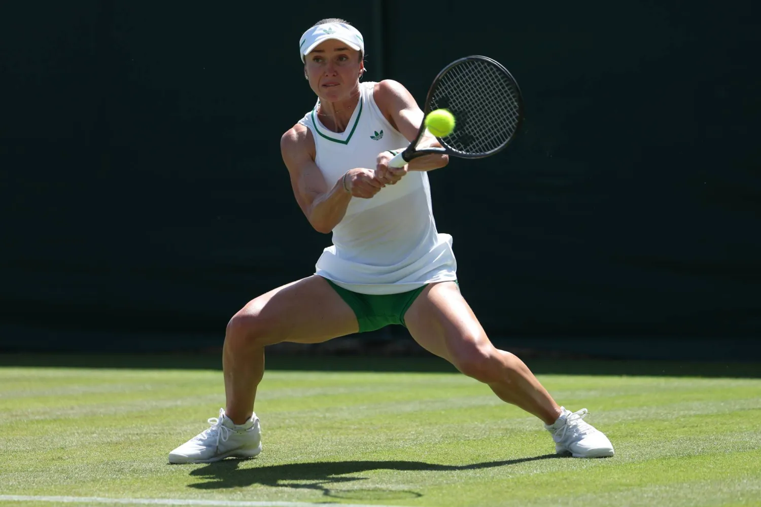 الأوكرانية يلينا سفيتولينا (إ.ب.أ) 