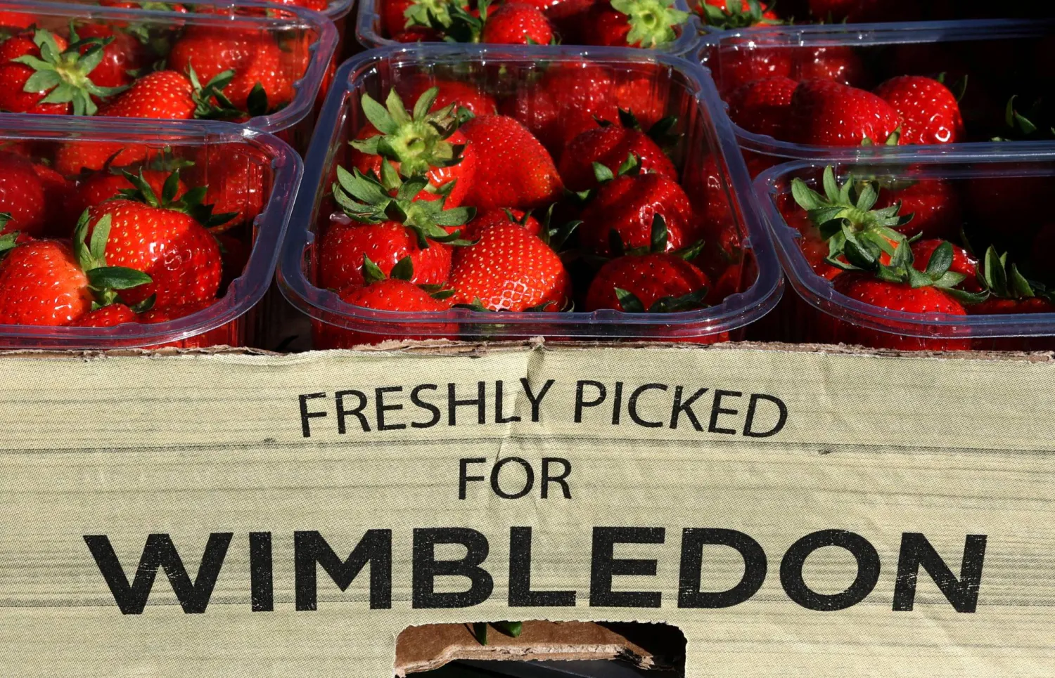 الفراولة ما زالت مطلوبة في مدرجات ويمبلدون (رويترز)