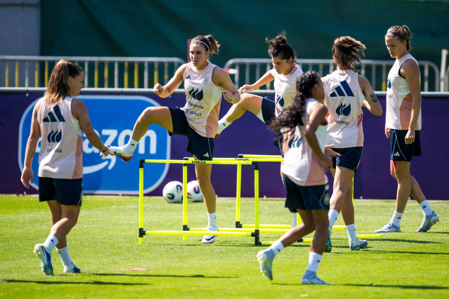 المنتخب الإسباني المرشح الأبرز لتحقيق البطولة (أ.ف.ب)