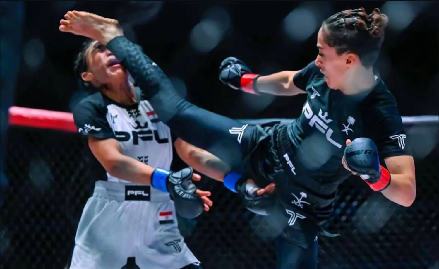 ستُقام في الصالة الخضراء وسط حضور جماهيري واسع وترقب لمواجهات من العيار الثقيل (الفنون القتالية)