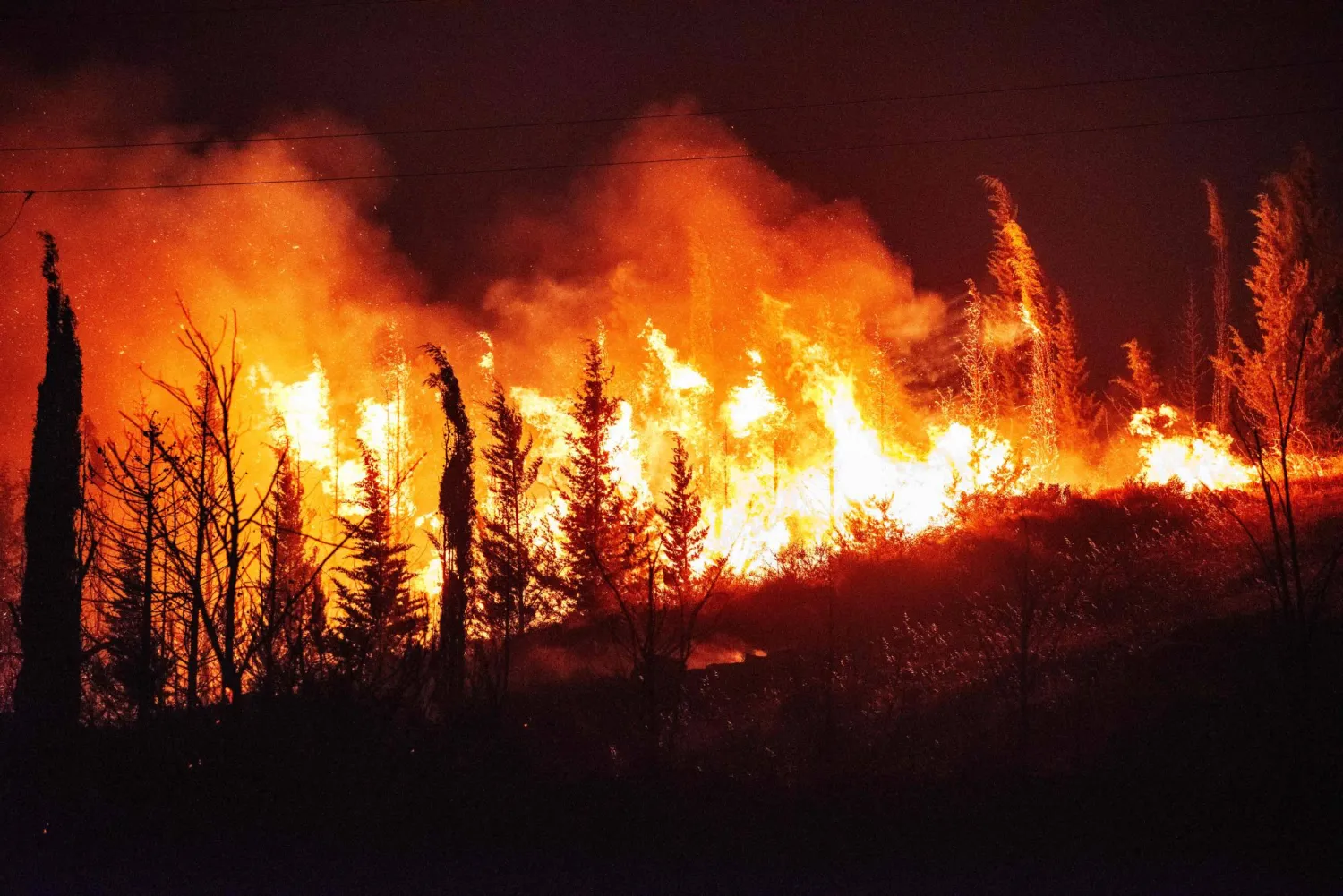 تصاعد الدخان والنيران من منطقة غابات على أثر حريق هائل في إزمير التركية (أ.ف.ب)