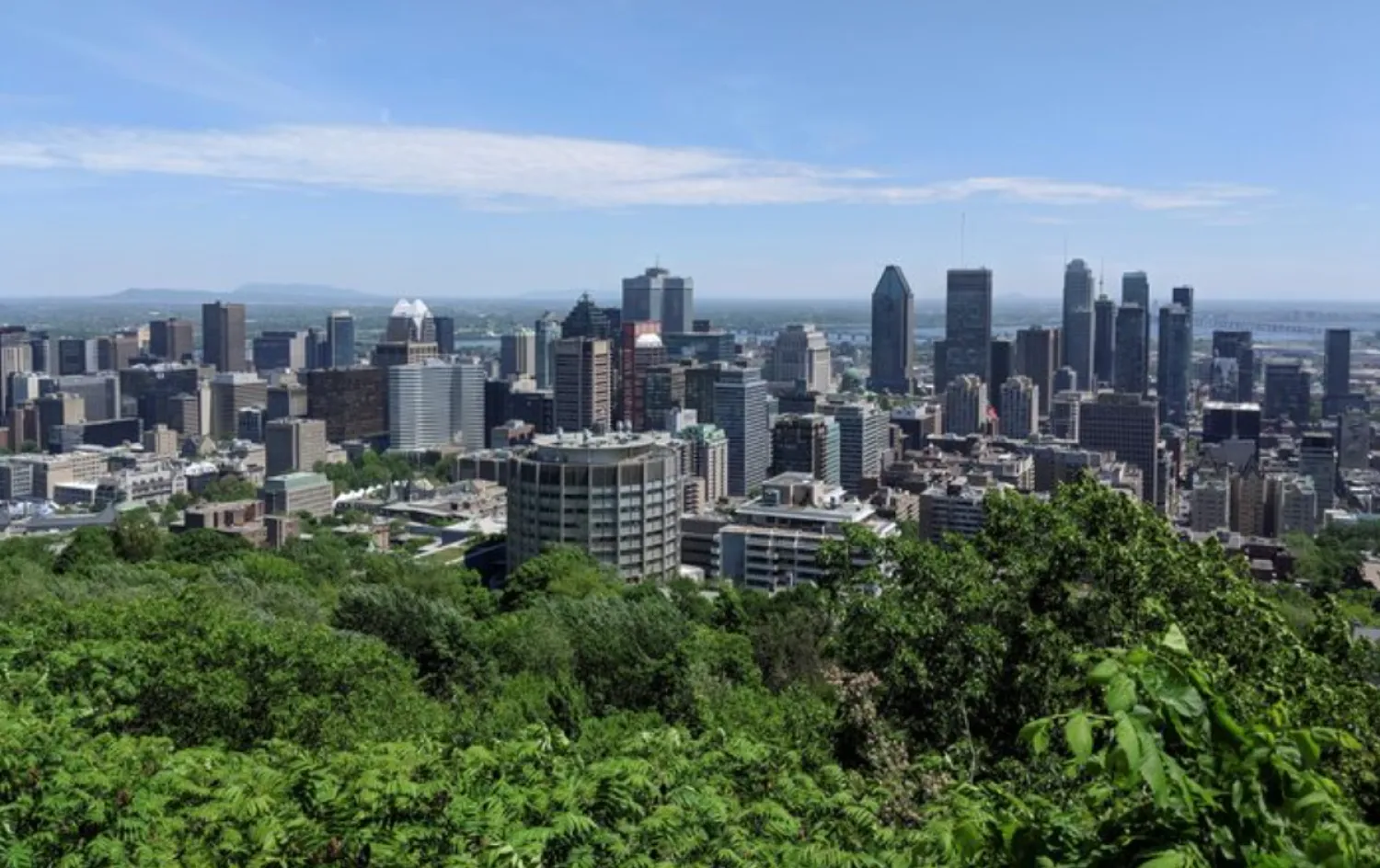 The Montreal city skyline is seen from Mont Royal in Montreal, Quebec, Canada, May 31, 2018. REUTERS/Hyungwon Kang/File Photo