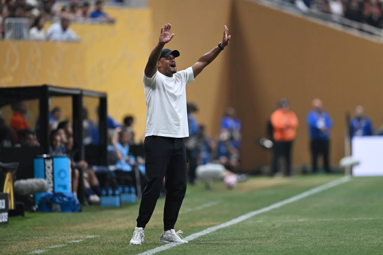 فينسنت كومباني (د.ب.أ)