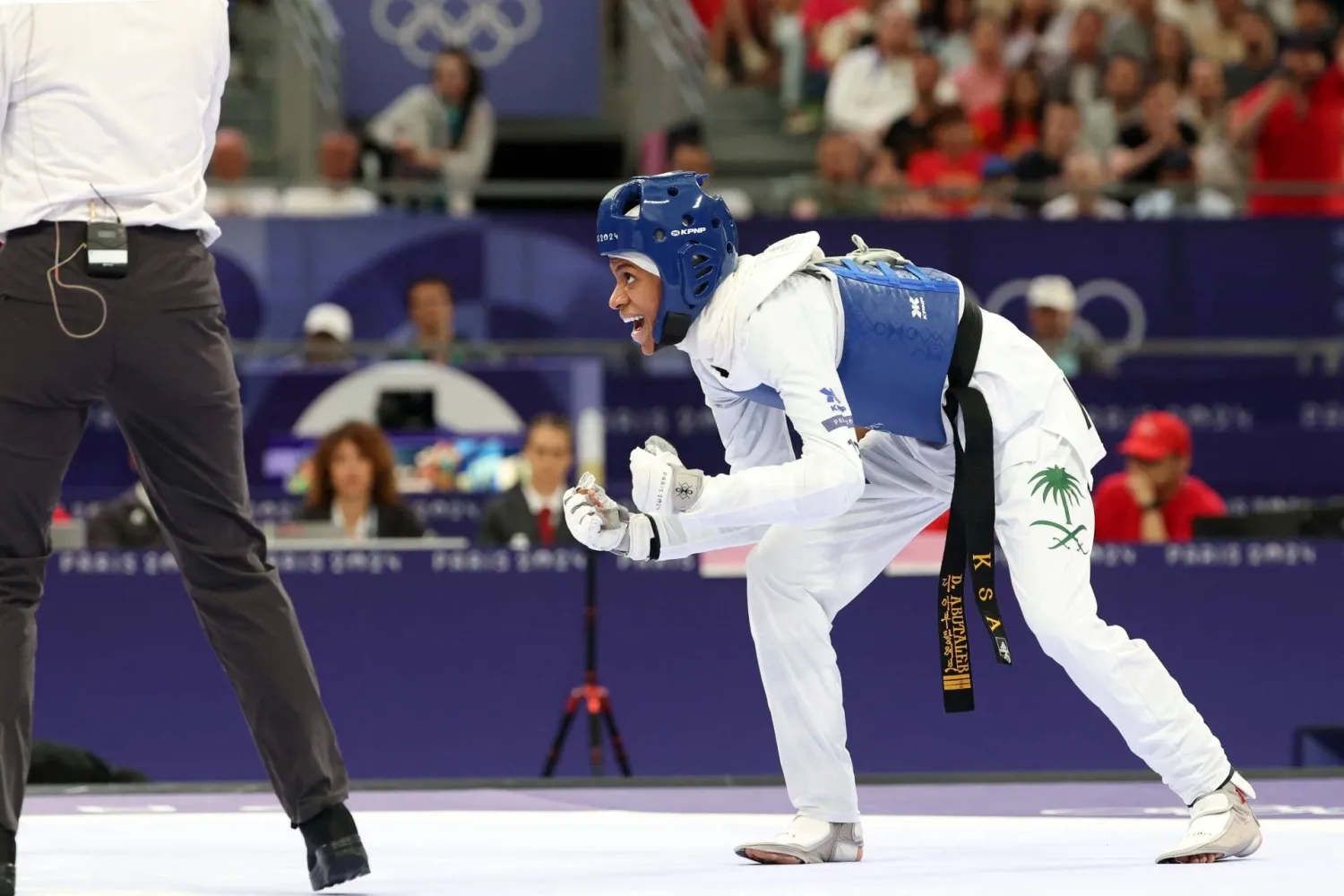 التصنيف جاء وفق الاتحاد الدولي للتايكوندو (الشرق الأوسط)