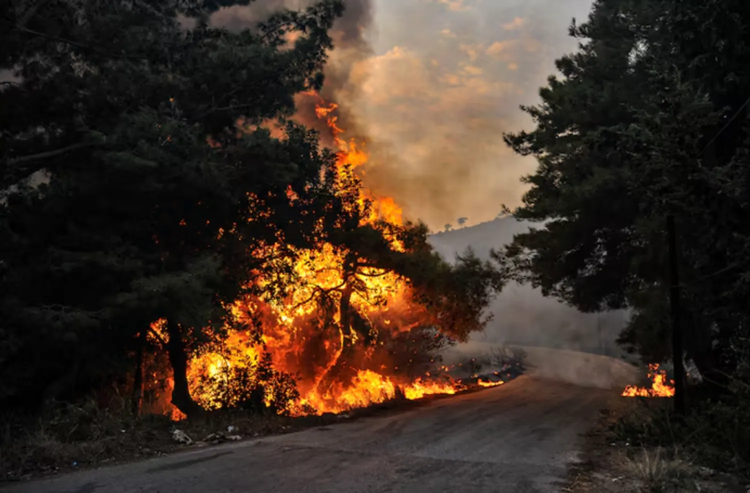 FILE : A fire burns at a forest in Latakia province, Syria in this handout released by SANA on October 9, 2020. SANA/Handout via REUTERS 