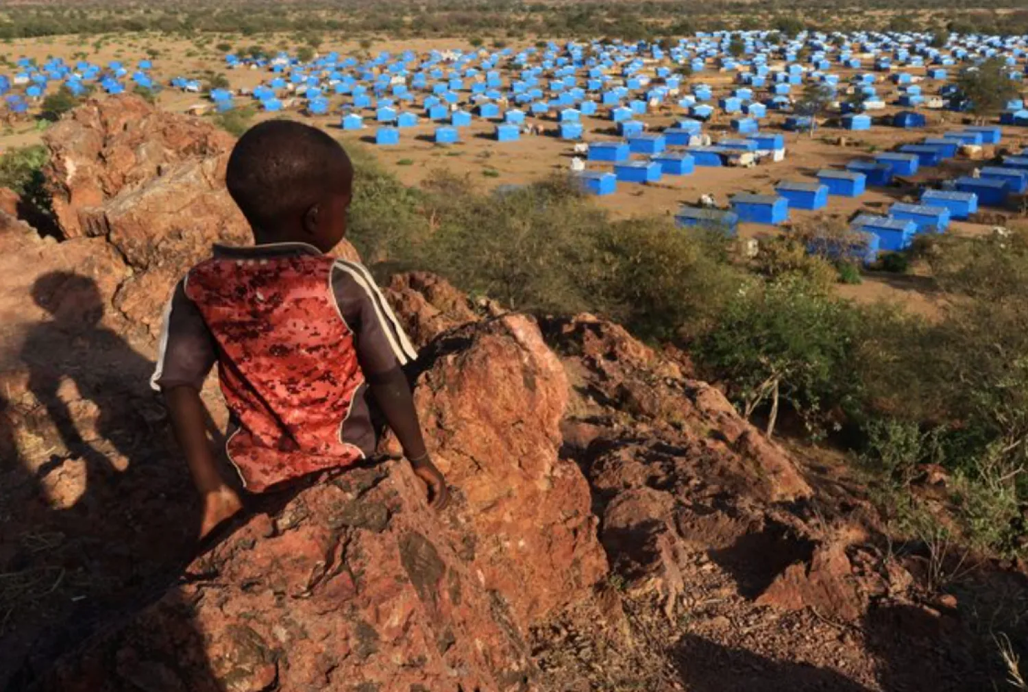 A boy sits atop a hill overlooking a refugee camp near the Chad-Sudan border, November 9, 2023. REUTERS/El Tayeb Siddig/File Photo 