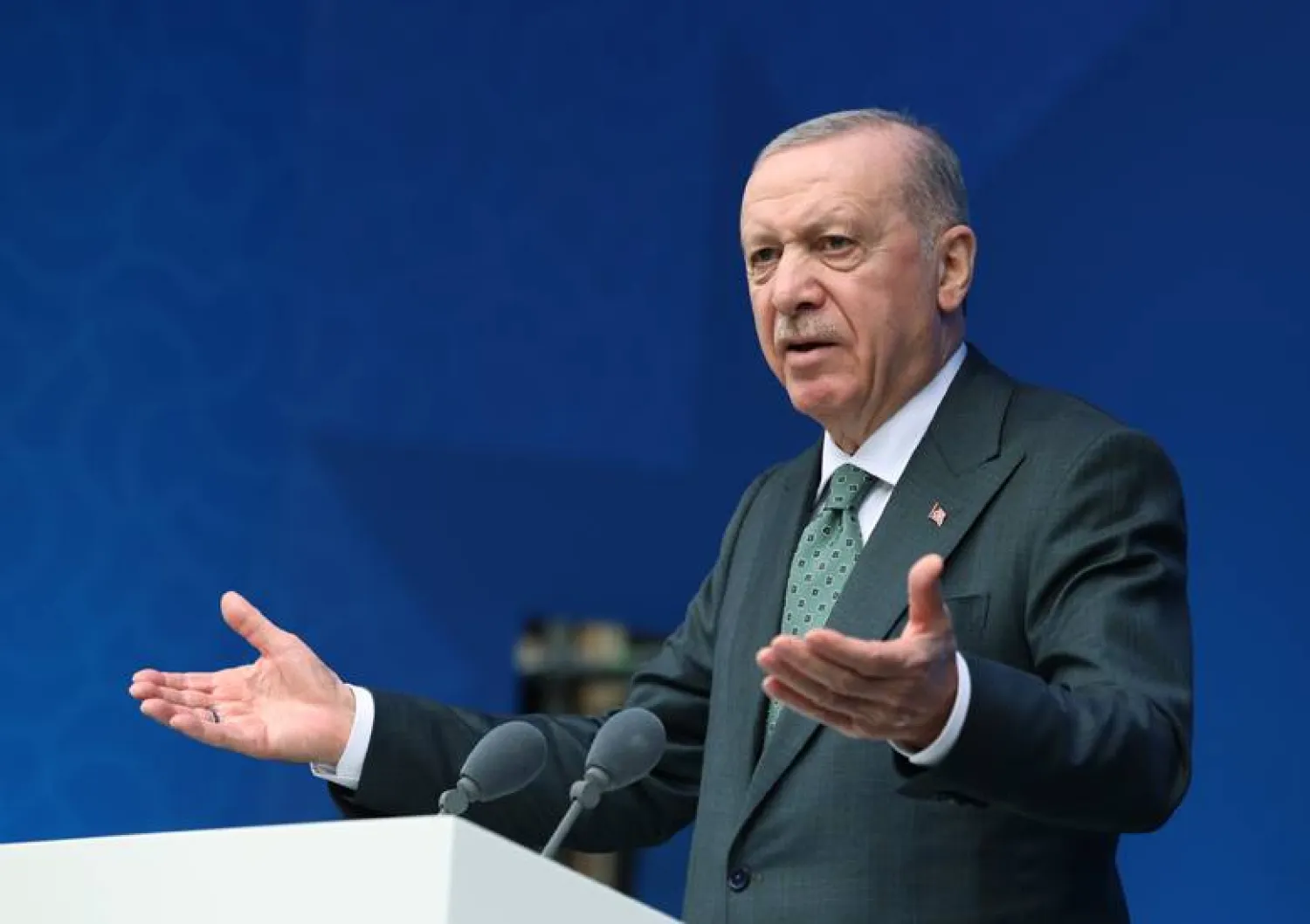 الرئيس التركي رجب طيب إردوغان (د.ب.أ)